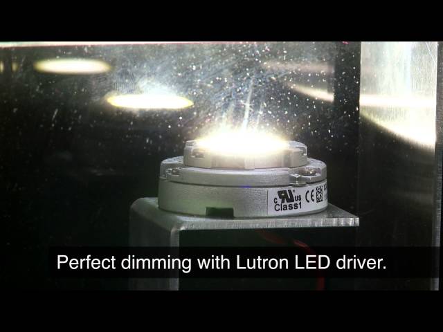 Lutron LED drivers - Guaranteed dimming performance