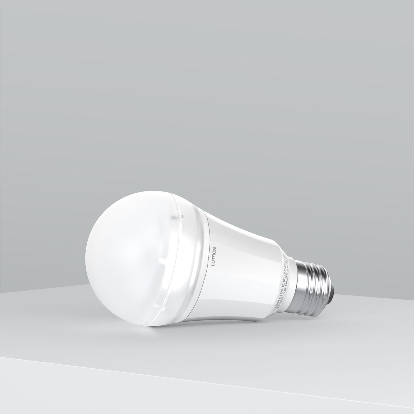 Rania A20 Lamp in White with E26 Plinth Base