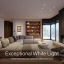 Rania D2 Adjustable Remodeler Downlight – 2” Aperture - D2R-TW-AD