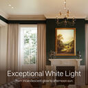 Rania D2 Fixed Remodeler Downlight—2” Aperture - D2R-TW-FX