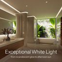 Rania D2 Wall Wash Remodeler Downlight—2” Aperture - D2R-TW-WW