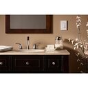 Diva RP Dimmer - DVSCRP-253P-SR