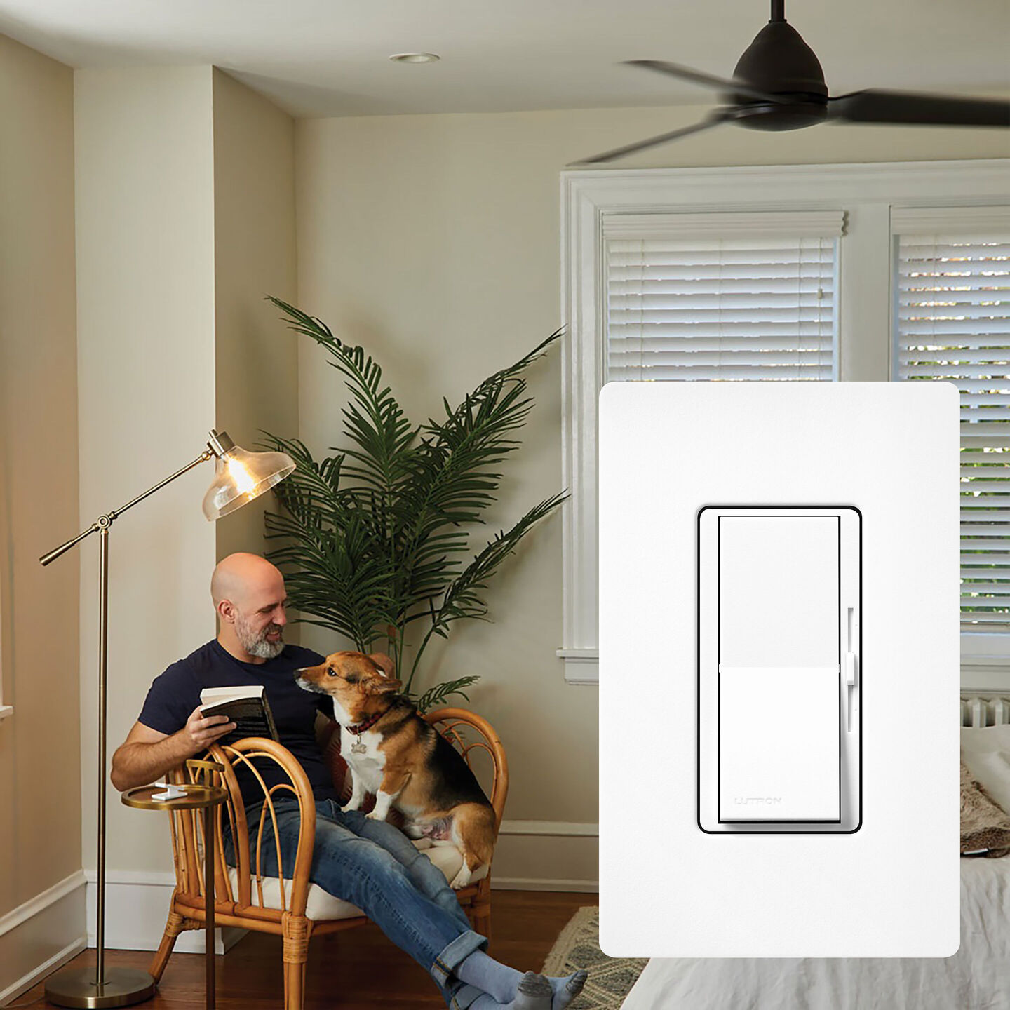 Diva 3-Speed Fan Control - DVFSQ-F-WH