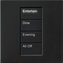 HomeWorks Palladiom Square Keypad - HQWT-S-P4W-PG