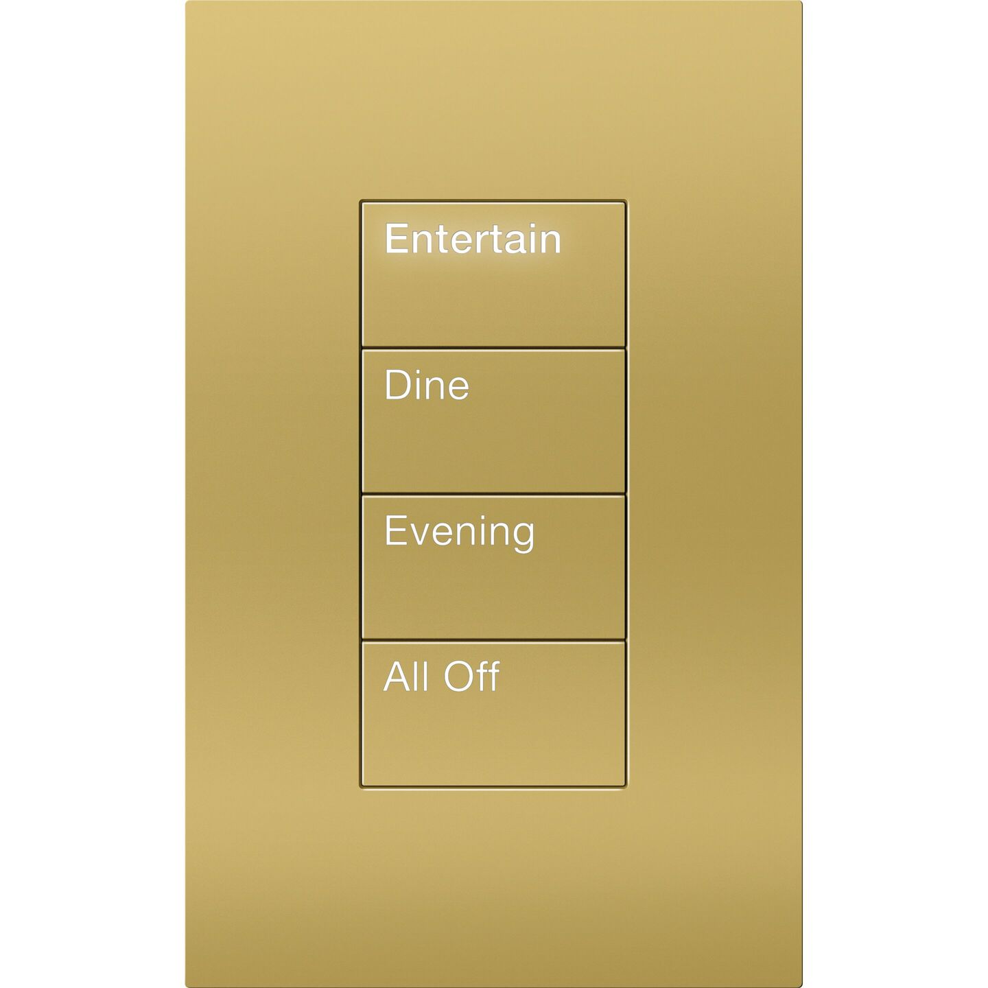 HomeWorks Palladiom Rectangle Keypad - HQWT-U-P4W-BB