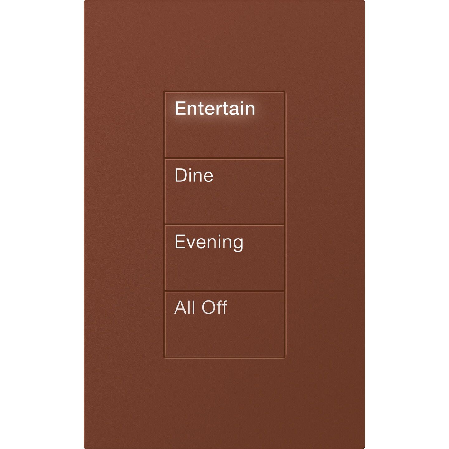 HomeWorks Palladiom Rectangle Keypad - HQWT-U-P4W-SI