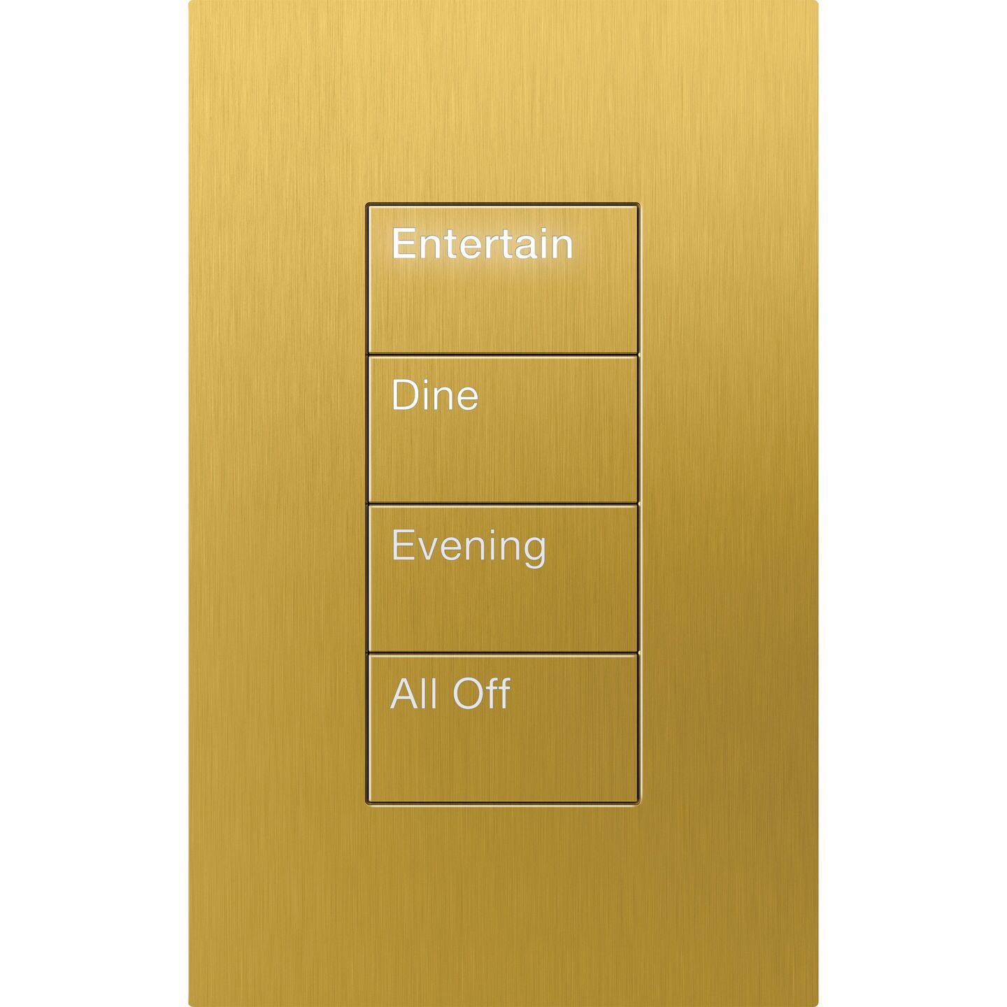 HomeWorks Palladiom Rectangle Keypad - HQWT-U-P4W-SB