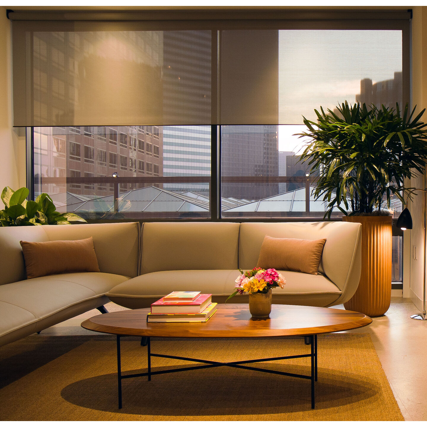 Palladiom Roller Shades - 35V Wired - palladiom-wired-roller-shades