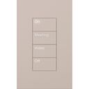 Athena Palladiom Rectangle Keypad - QWP-U-4W-TP