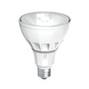 Ketra S30 PAR Lamp