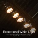 Five recessed Rania PAR Lamps demonstrating distinct quality and range,  emphasizing “Exceptional White Light – from incandescent glow to afternoon sun”