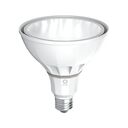Ketra S38 PAR Lamp