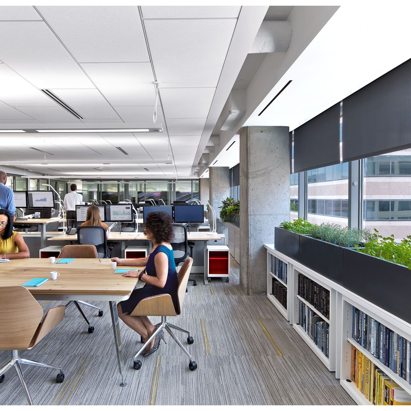 Sivoia Roller 100 Shades – No Top Treatment - sivoia-100-no-top-wired-roller-shades