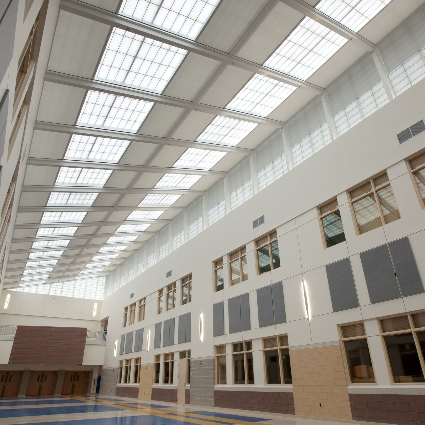 Sivoia Low-Voltage Wired Tensioned Roller Shades - sivoia-tensioned-wired-roller-shades