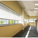 Sivoia Roller 300 Shades – Metal Fascia, 4" - sivoia-300-metal-fascia-4-wired-roller-shades