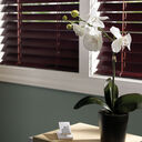 Triathlon Manual Wood Blinds, No Top Treatment - triathlon-no-top-no-motorization-manual-wood-blinds